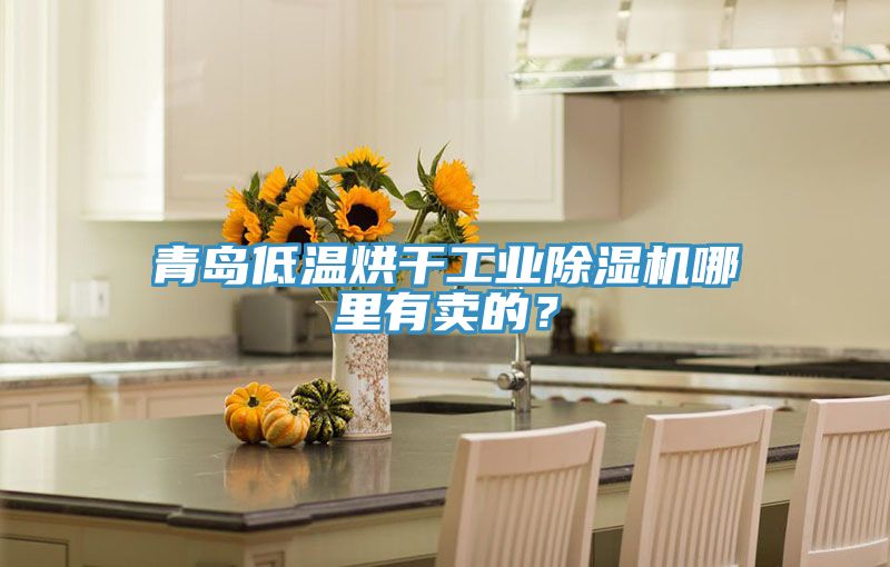 青島低溫烘干工業(yè)除濕機(jī)哪里有賣的？