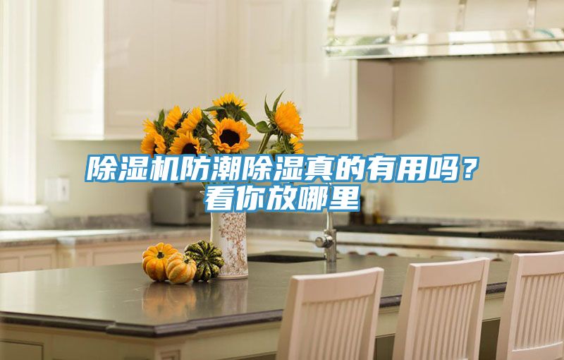 除濕機(jī)防潮除濕真的有用嗎？看你放哪里