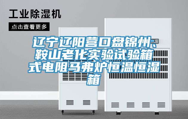 遼寧遼陽營口盤錦州、鞍山老化實驗試驗箱式電阻馬弗爐恒溫恒濕箱