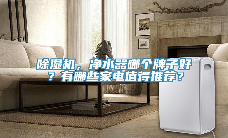 除濕機(jī)，凈水器哪個(gè)牌子好？有哪些家電值得推薦？