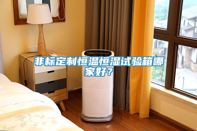 非標(biāo)定制恒溫恒濕試驗(yàn)箱哪家好？