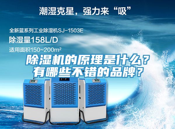 除濕機(jī)的原理是什么？有哪些不錯(cuò)的品牌？
