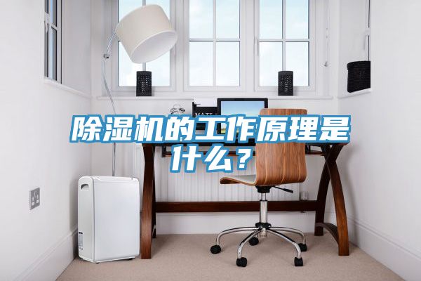 除濕機(jī)的工作原理是什么？