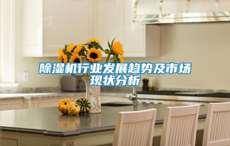 除濕機(jī)行業(yè)發(fā)展趨勢(shì)及市場現(xiàn)狀分析