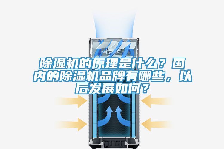 除濕機(jī)的原理是什么？國內(nèi)的除濕機(jī)品牌有哪些，以后發(fā)展如何？