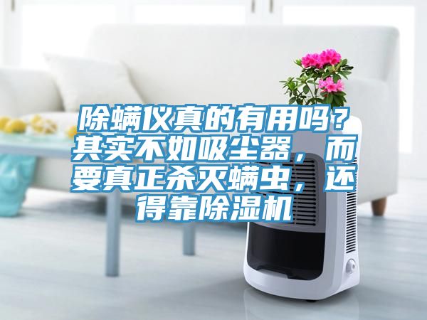除螨儀真的有用嗎？其實不如吸塵器，而要真正殺滅螨蟲，還得靠除濕機