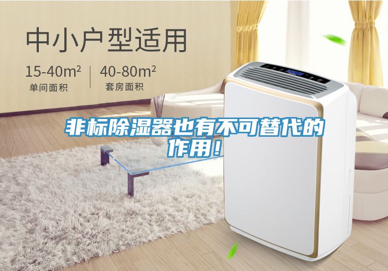 非標(biāo)除濕器也有不可替代的作用！