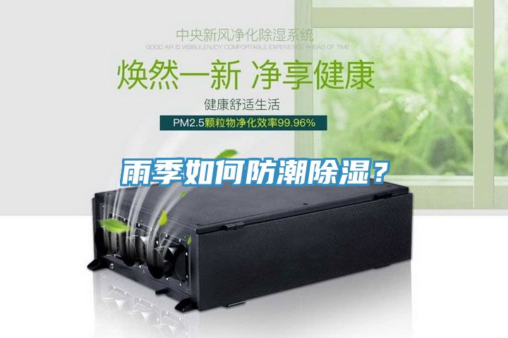 雨季如何防潮除濕？