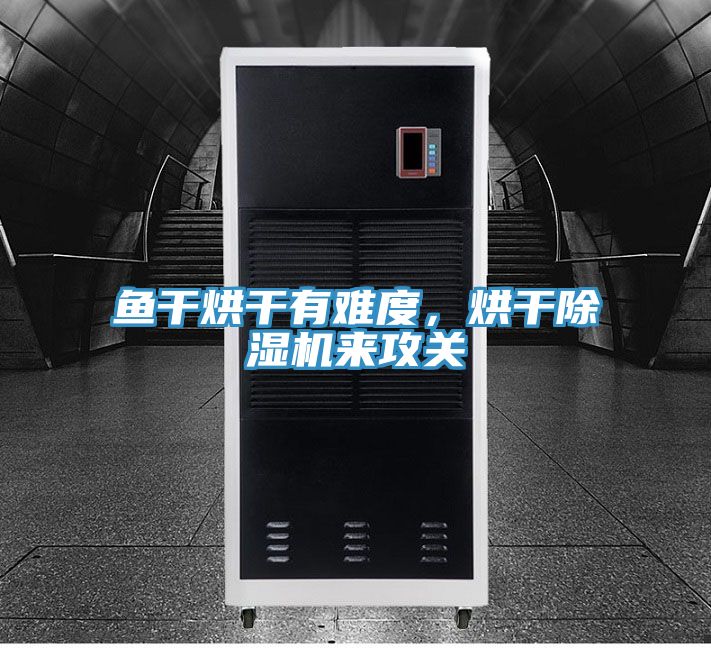 魚干烘干有難度，烘干除濕機(jī)來攻關(guān)