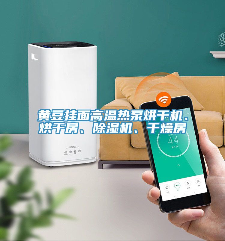黃豆掛面高溫?zé)岜煤娓蓹C(jī)、烘干房、除濕機(jī)、干燥房