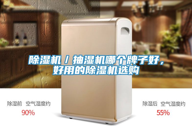 除濕機／抽濕機哪個牌子好，好用的除濕機選購