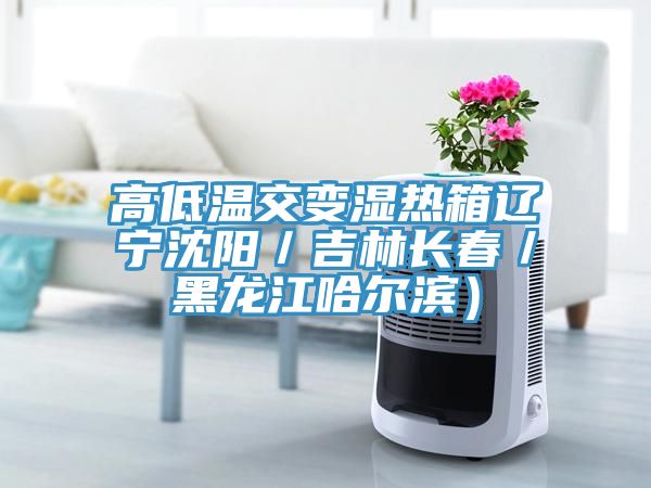 高低溫交變濕熱箱遼寧沈陽／吉林長(zhǎng)春／黑龍江哈爾濱）