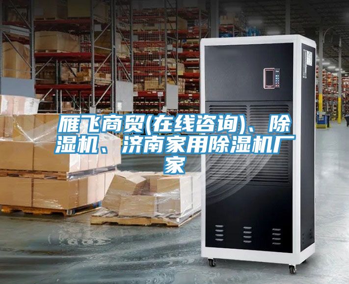雁飛商貿(mào)(在線咨詢)、除濕機、濟南家用除濕機廠家