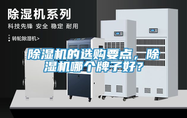 除濕機的選購要點，除濕機哪個牌子好？