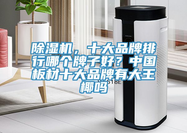 除濕機(jī)，十大品牌排行哪個(gè)牌子好？中國(guó)板材十大品牌有大王椰嗎