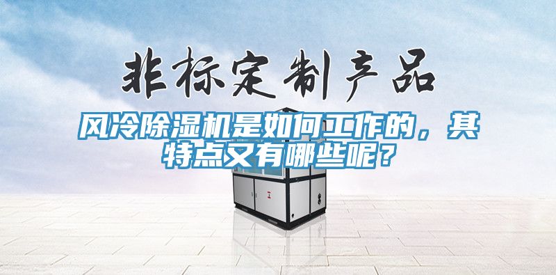 風(fēng)冷除濕機(jī)是如何工作的，其特點(diǎn)又有哪些呢？