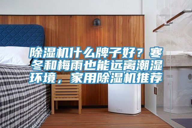 除濕機(jī)什么牌子好？寒冬和梅雨也能遠(yuǎn)離潮濕環(huán)境，家用除濕機(jī)推薦
