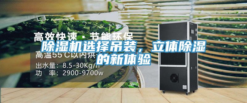除濕機(jī)選擇吊裝，立體除濕的新體驗(yàn)