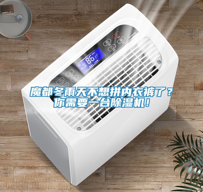 魔都冬雨天不想拼內(nèi)衣褲了？你需要一臺除濕機(jī)！