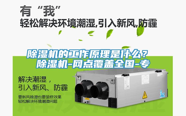 除濕機(jī)的工作原理是什么？ 除濕機(jī)-網(wǎng)點(diǎn)覆蓋全國(guó)-專