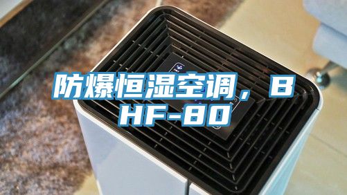 防爆恒濕空調(diào)，BHF-80