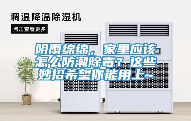 陰雨綿綿，家里應(yīng)該怎么防潮除霉？這些妙招希望你能用上~