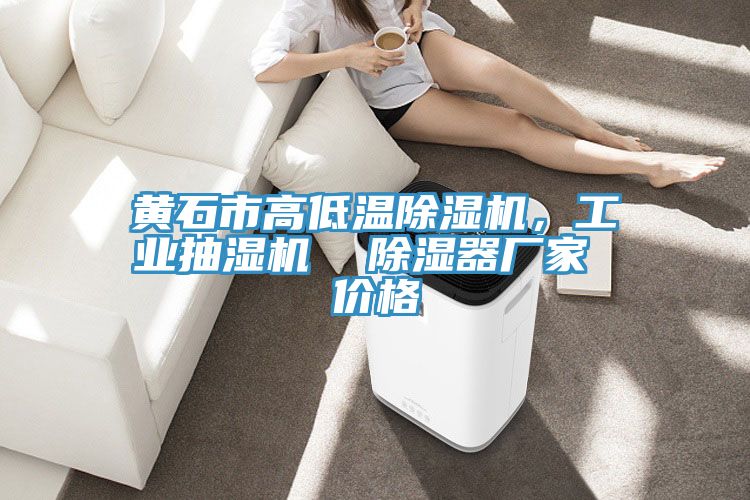 黃石市高低溫除濕機，工業(yè)抽濕機  除濕器廠家 價格