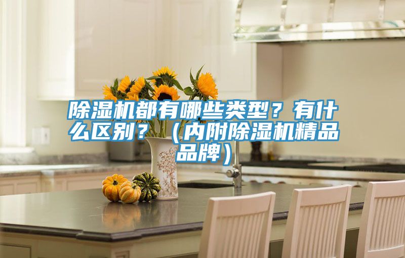 除濕機都有哪些類型？有什么區(qū)別？（內附除濕機精品品牌）