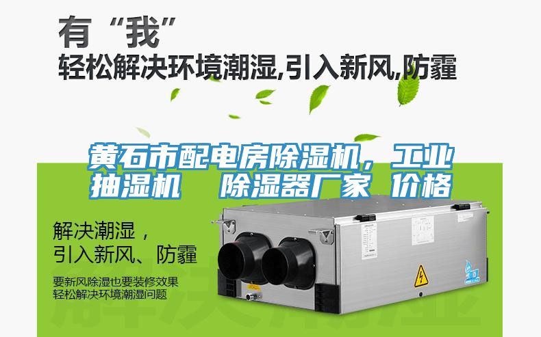 黃石市配電房除濕機，工業(yè)抽濕機  除濕器廠家 價格