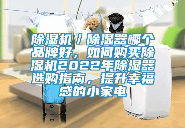 除濕機／除濕器哪個品牌好，如何購買除濕機2022年除濕器選購指南，提升幸福感的小家電