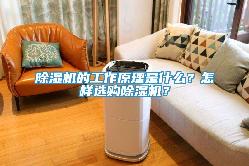 除濕機(jī)的工作原理是什么？怎樣選購(gòu)除濕機(jī)？