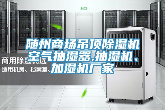 隨州商場吊頂除濕機空氣抽濕器,抽濕機、加濕機廠家