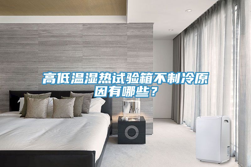 高低溫濕熱試驗(yàn)箱不制冷原因有哪些？